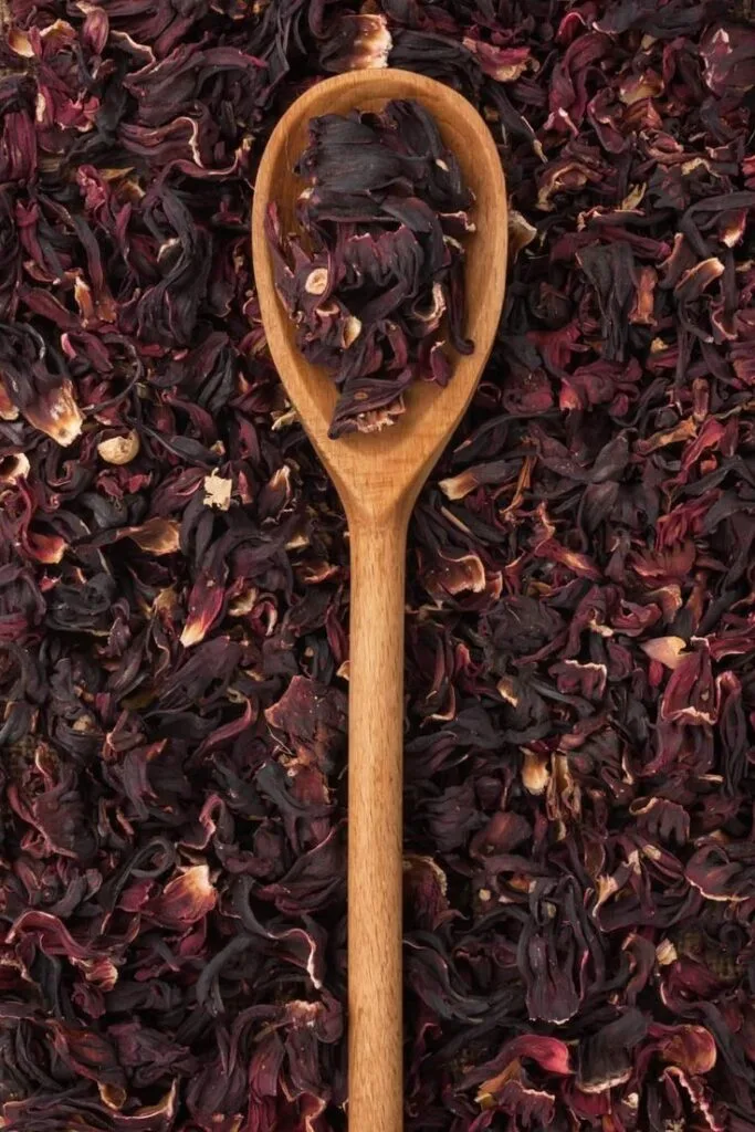 Hibiscus flower
